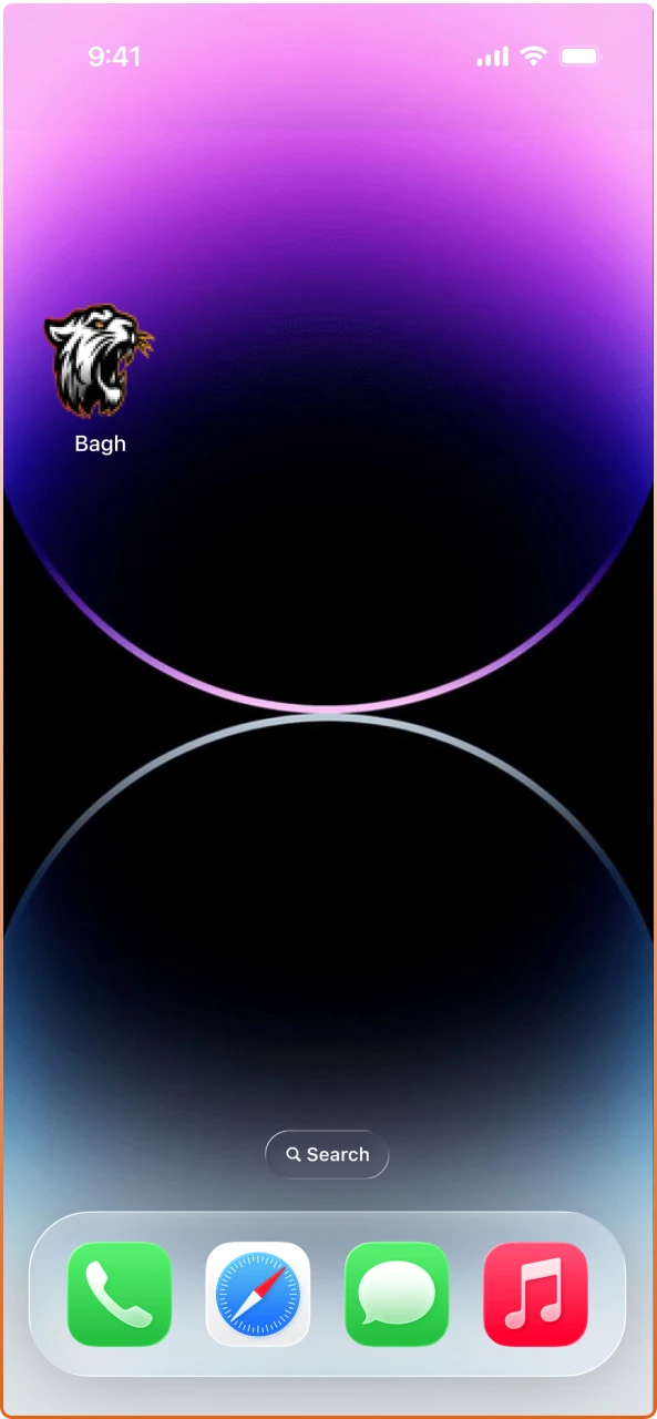 Launch the PWA to start using the mobile features of the Bagh App for iOS.