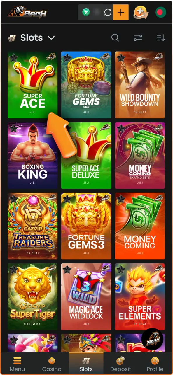 Browse the slots lobby and select your favorite title to Play Slot Games on Bagh.