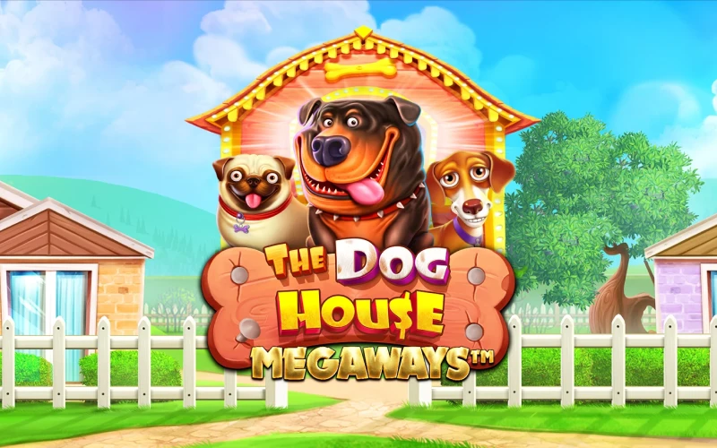 Experience the high volatility of The Dog House Megaways Slot on the Bagh platform.